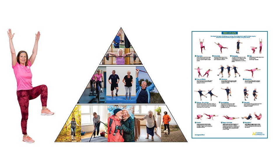 Collage, person står på ett ben, pyramid med bilder på äldre som tränar, flyer träningsprogram